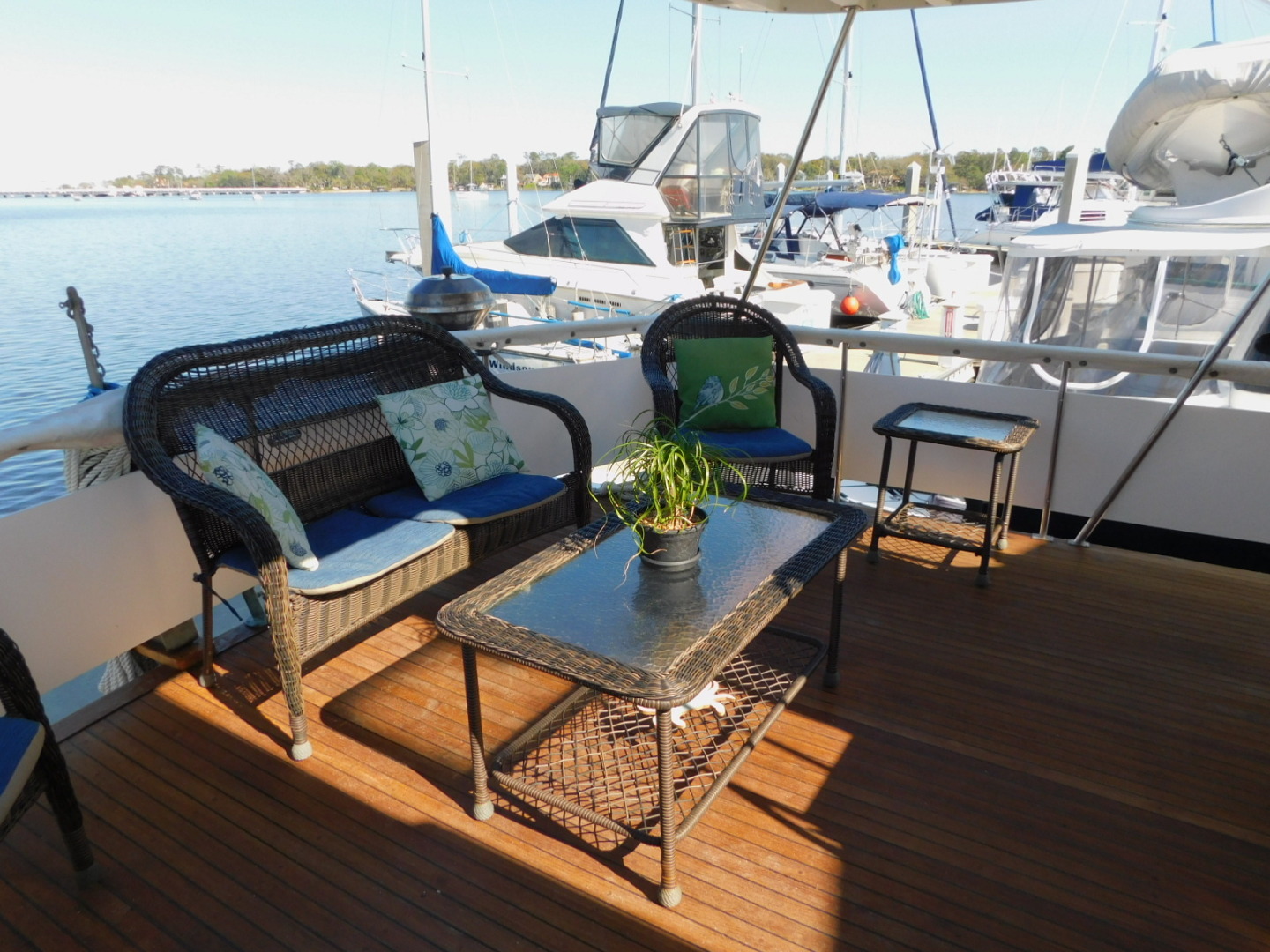 Picure of Indian Summer