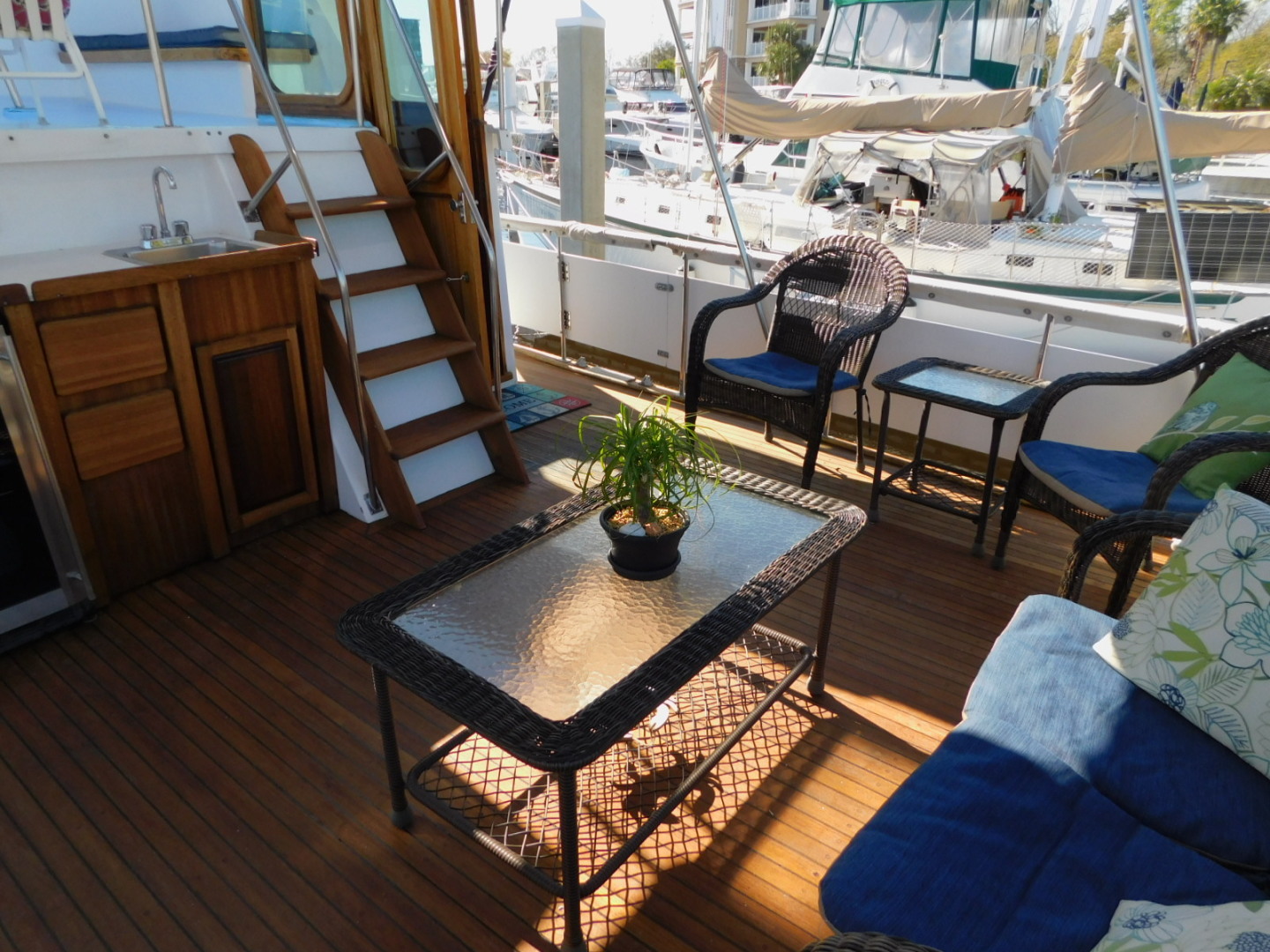 Picure of Indian Summer