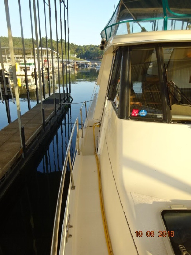 Picure of Sea Jamm