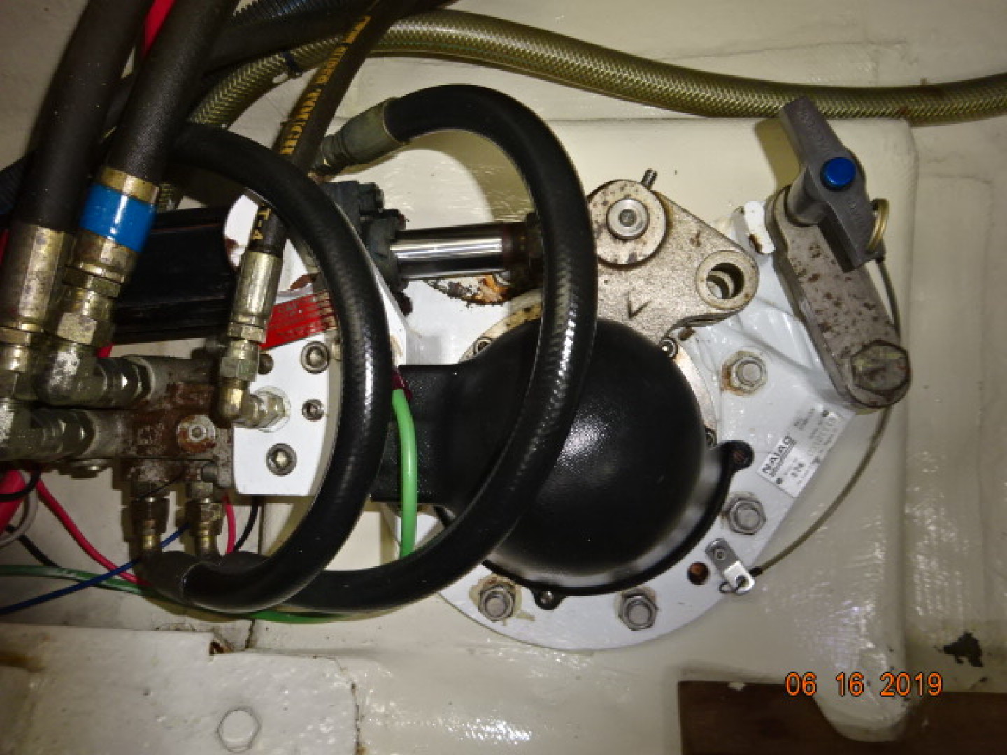 Picure of Spellbound