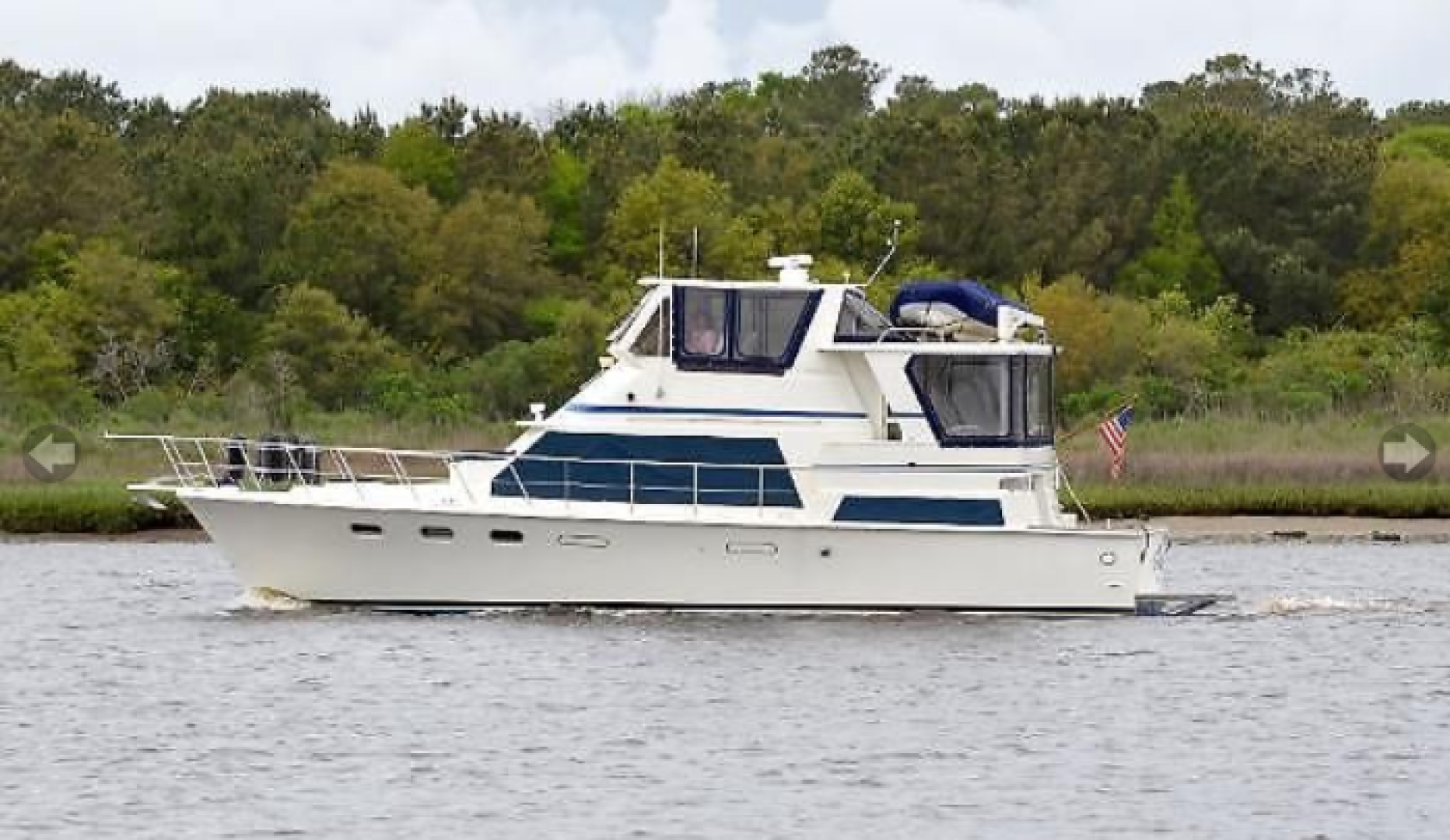 Picure of Wild Goose