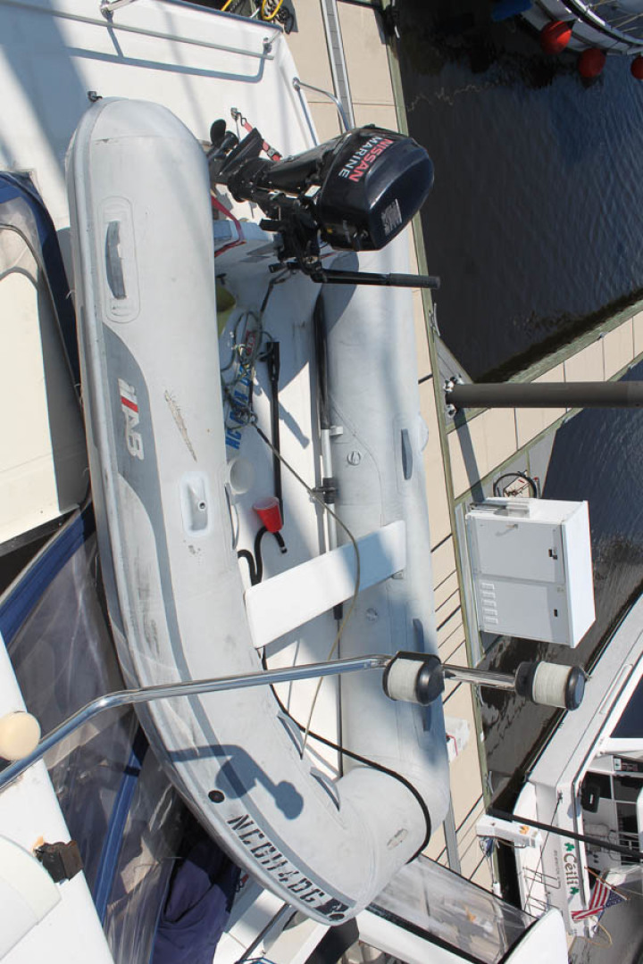 Picure of Wild Goose