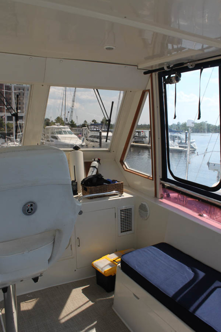 Picure of Wild Goose