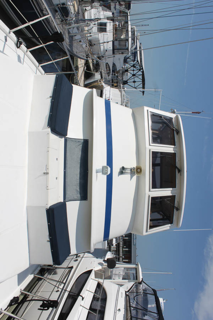 Picure of Wild Goose