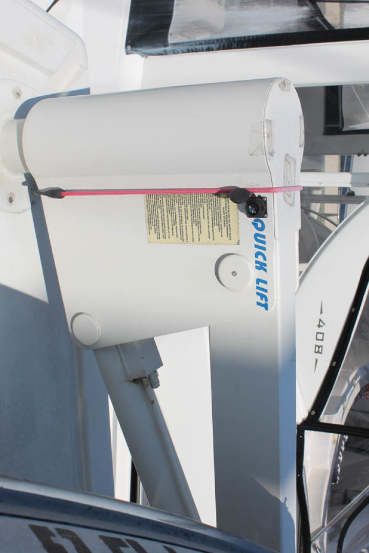 Picure of Wild Goose