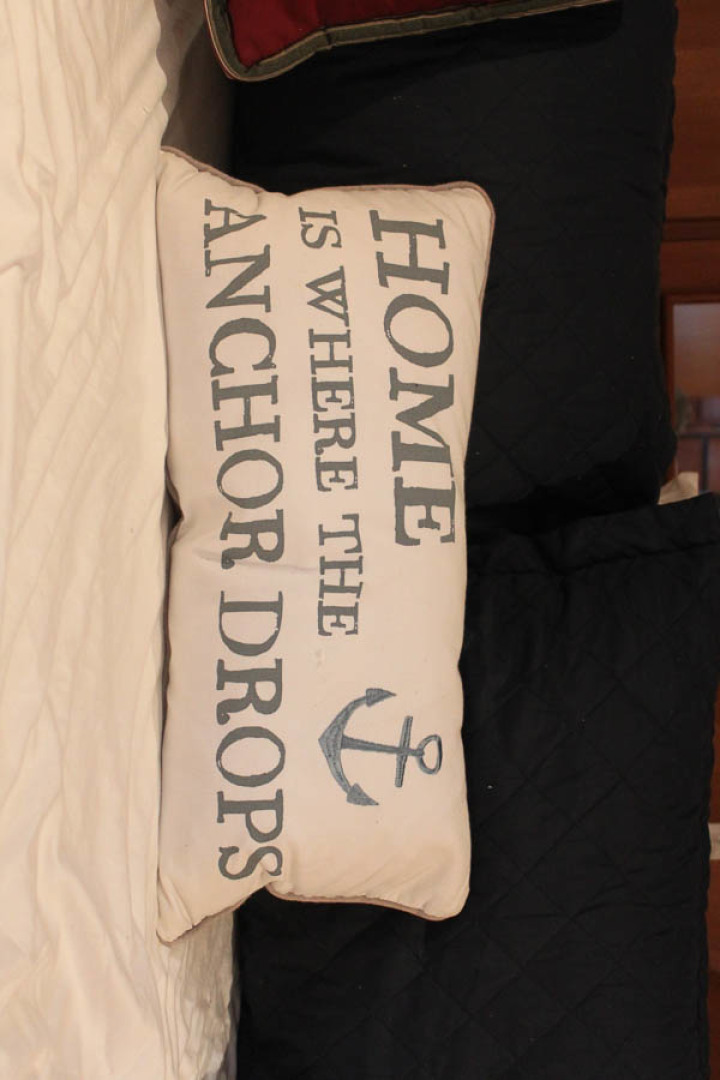 Picure of Wild Goose