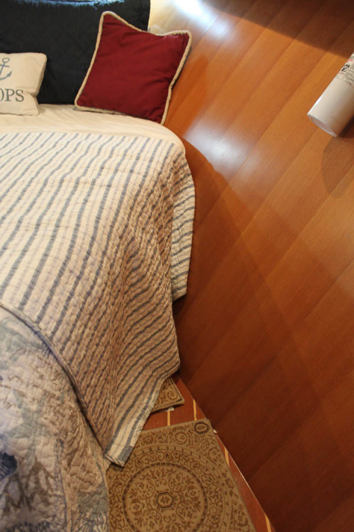 Picure of Wild Goose