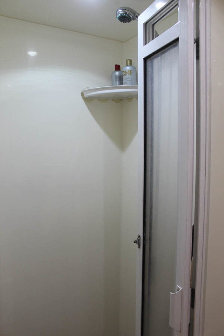 Picure of Wild Goose