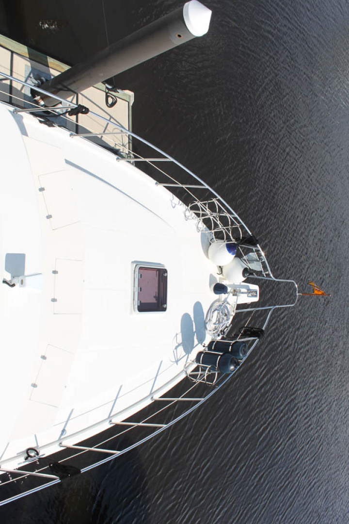 Picure of Wild Goose