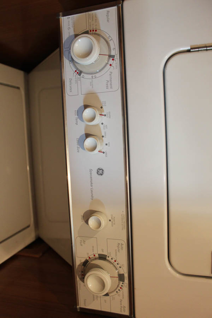 Picure of Wild Goose