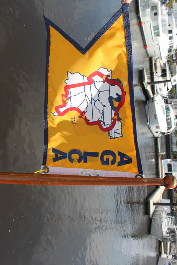 Picure of Wild Goose