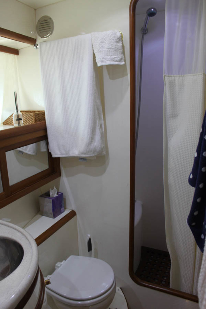 Picure of Wild Goose