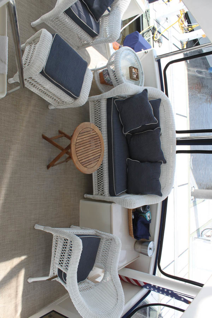 Picure of Wild Goose