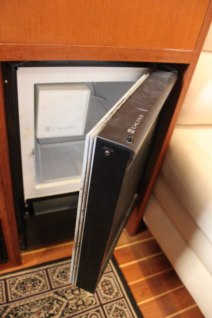 Picure of Wild Goose