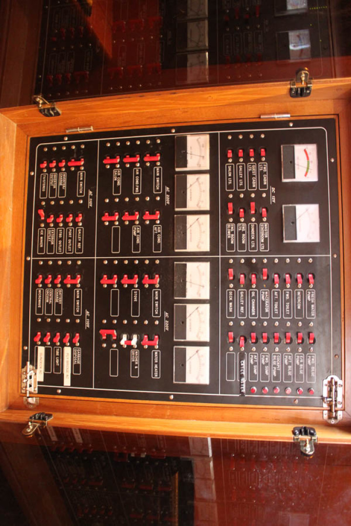 Picure of Wild Goose