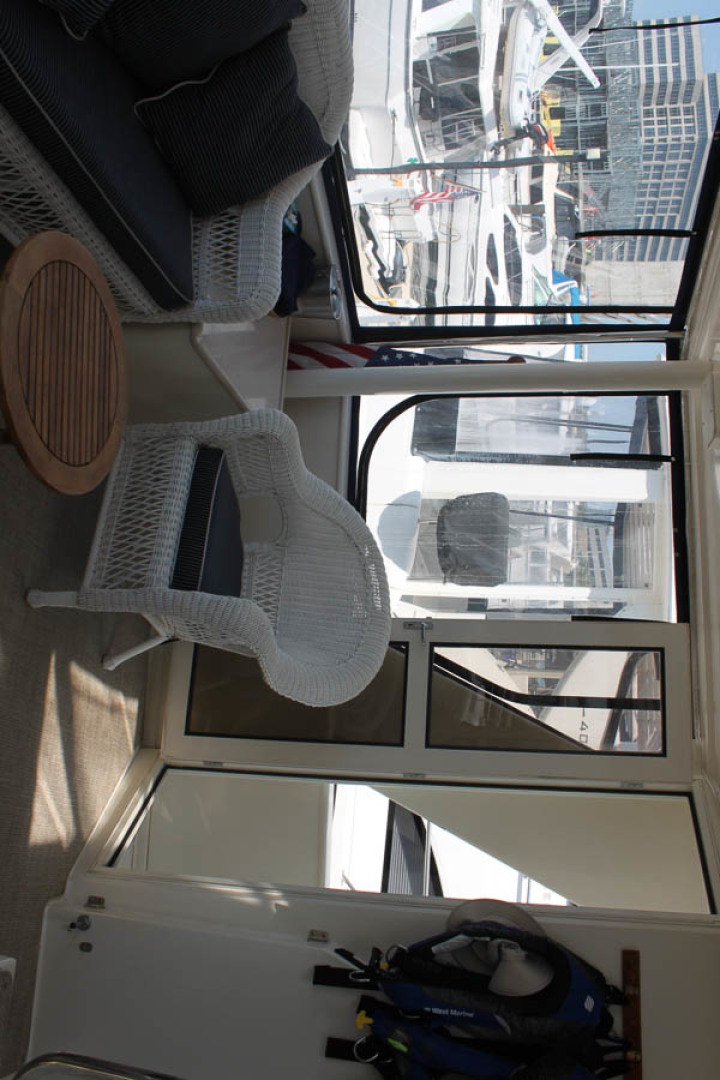 Picure of Wild Goose