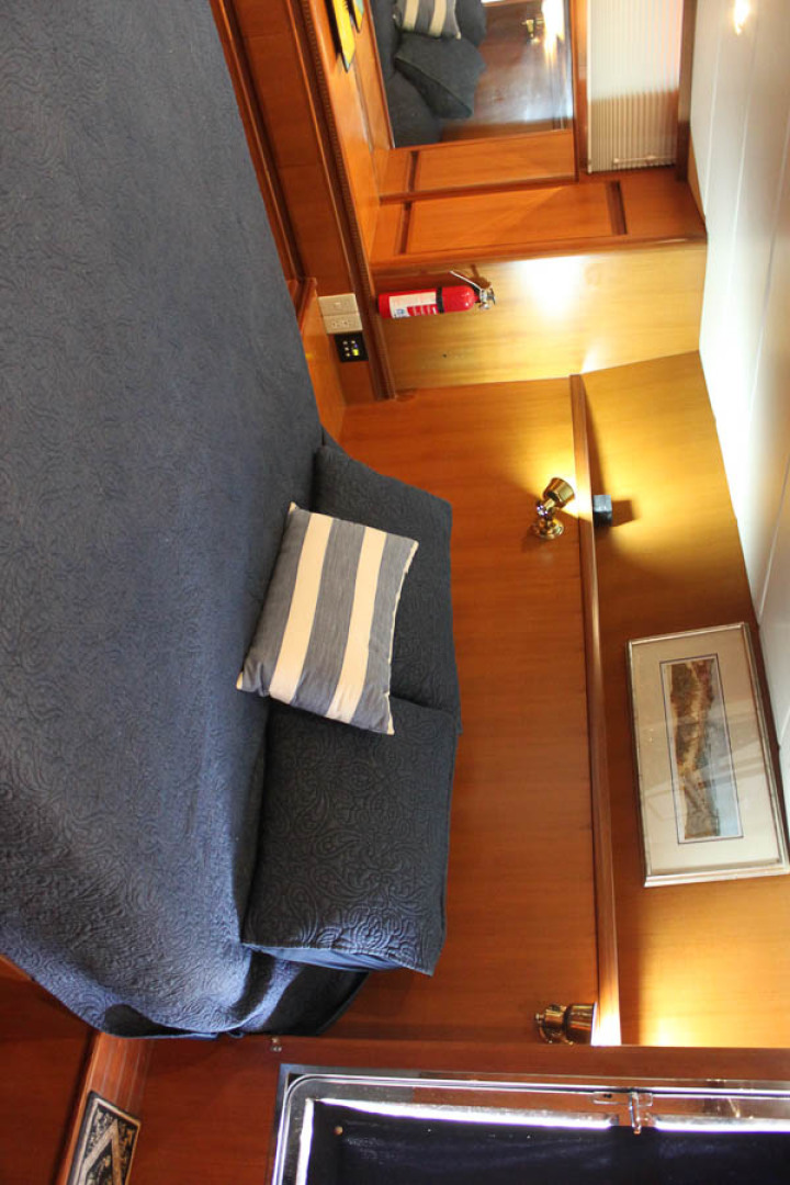 Picure of Wild Goose