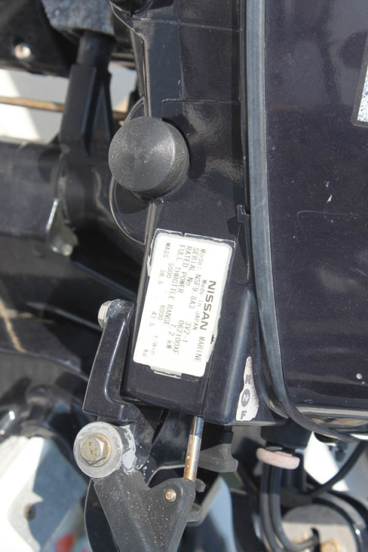 Picure of Wild Goose