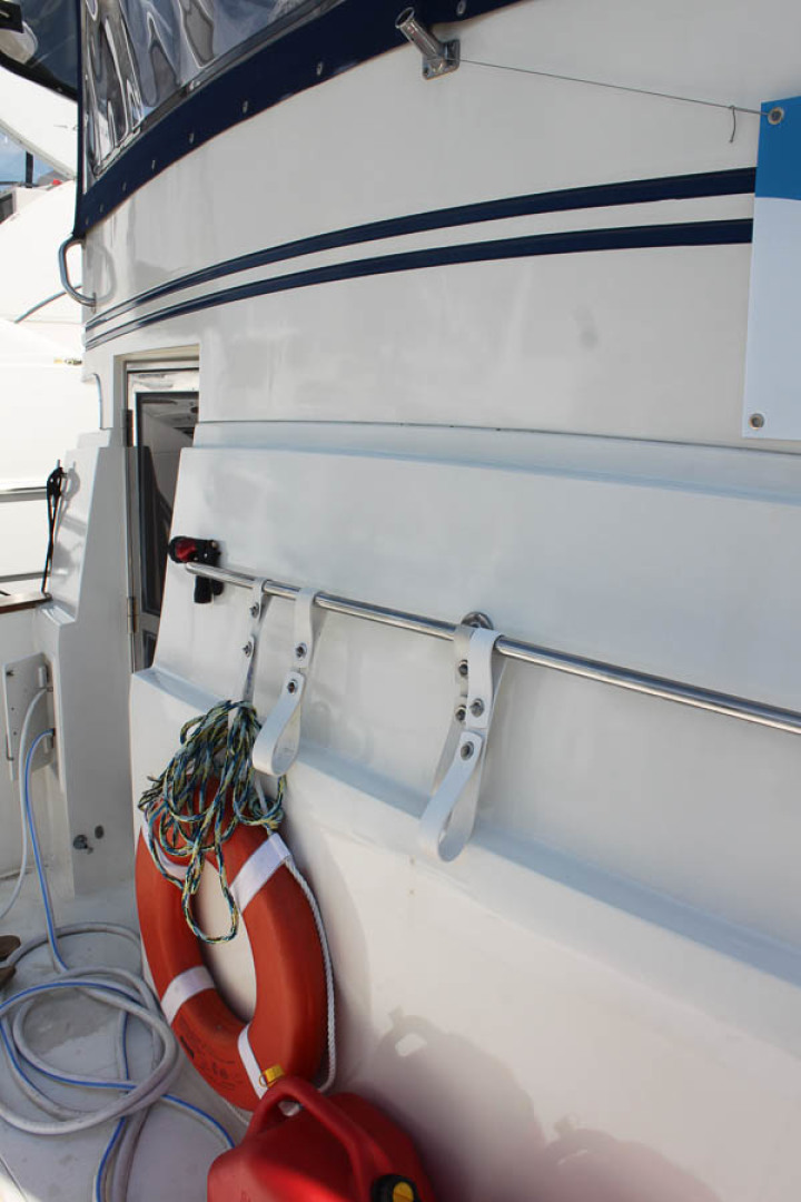 Picure of Wild Goose