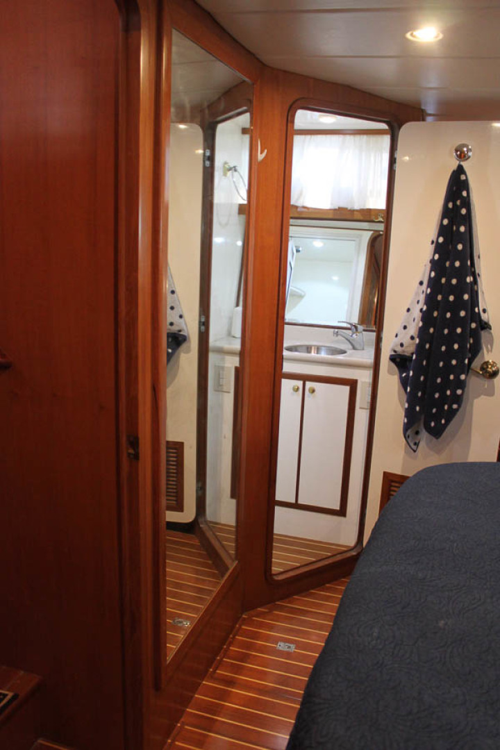 Picure of Wild Goose