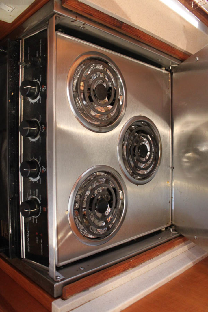 Picure of Wild Goose