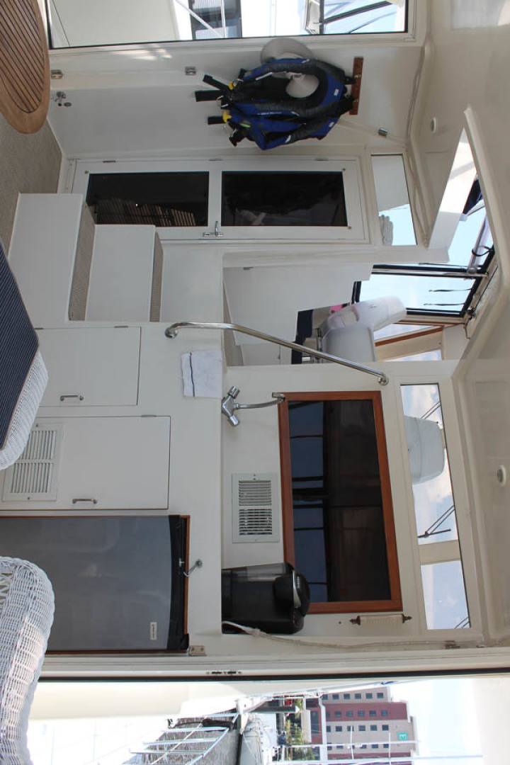 Picure of Wild Goose