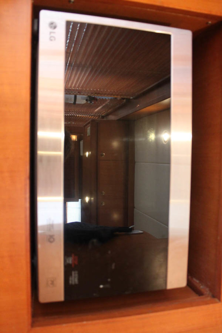 Picure of Wild Goose