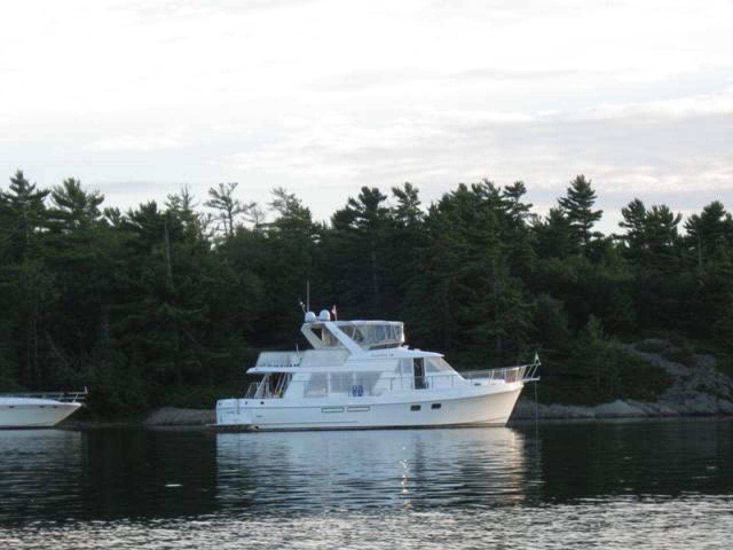 Picure of License to Chill