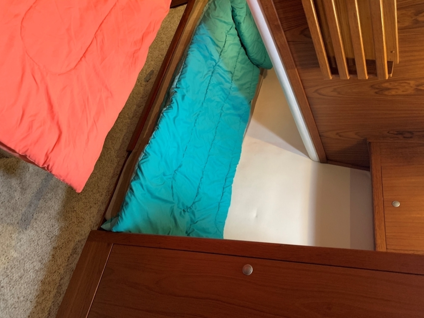 Picure of Northern Star