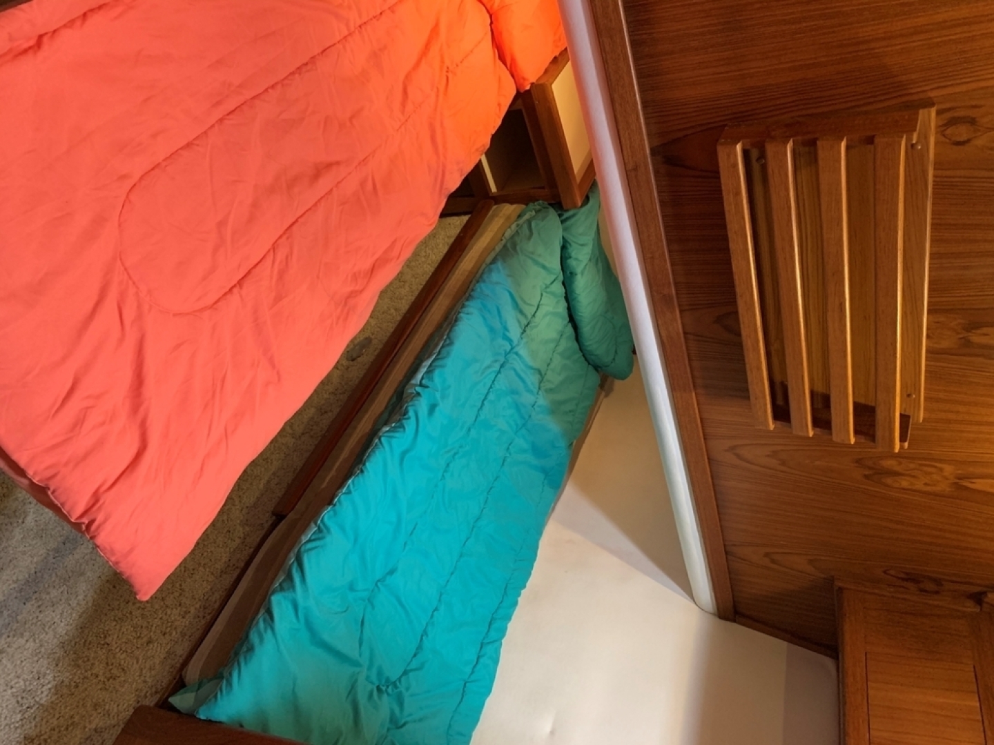 Picure of Northern Star