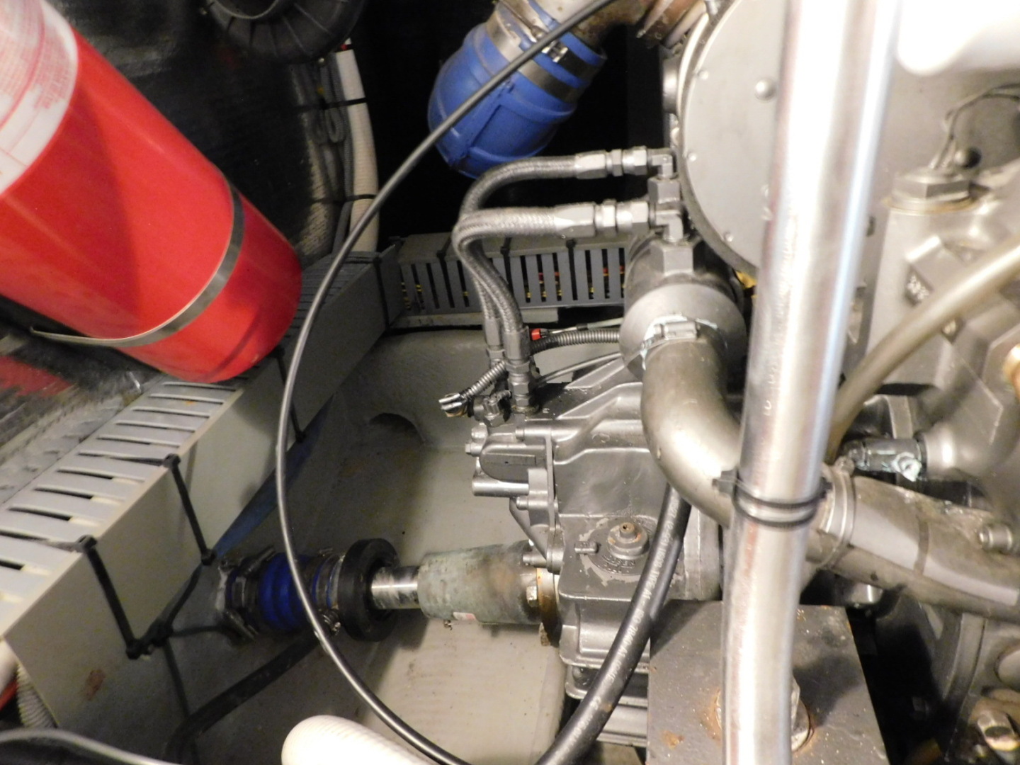 Picure of Serenity Blue