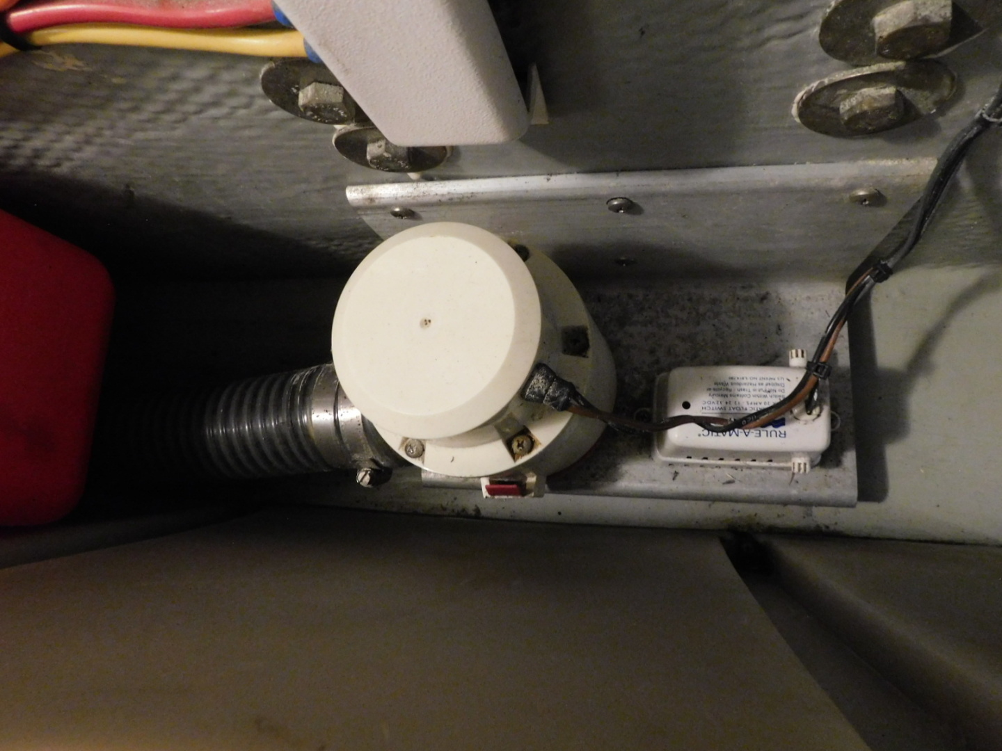 Picure of Serenity Blue