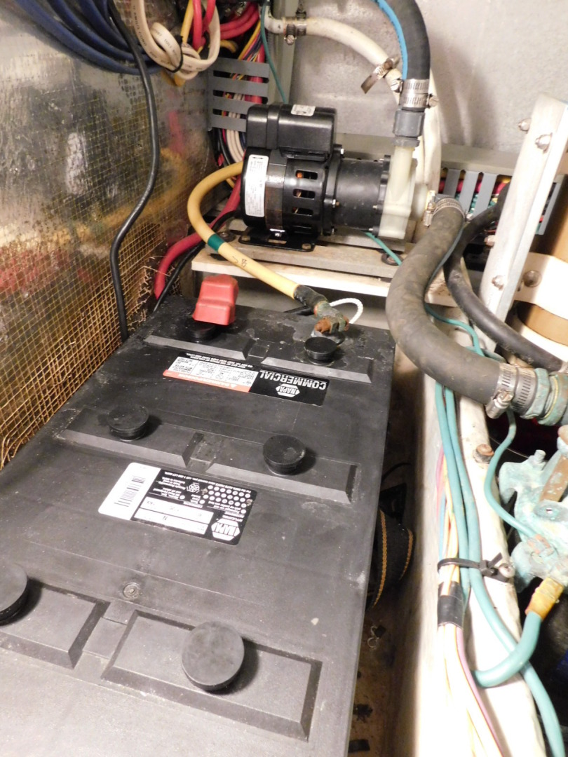 Picure of Serenity Blue