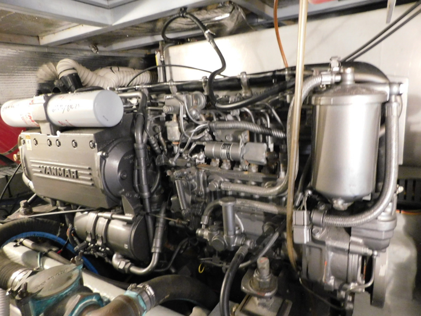 Picure of Serenity Blue