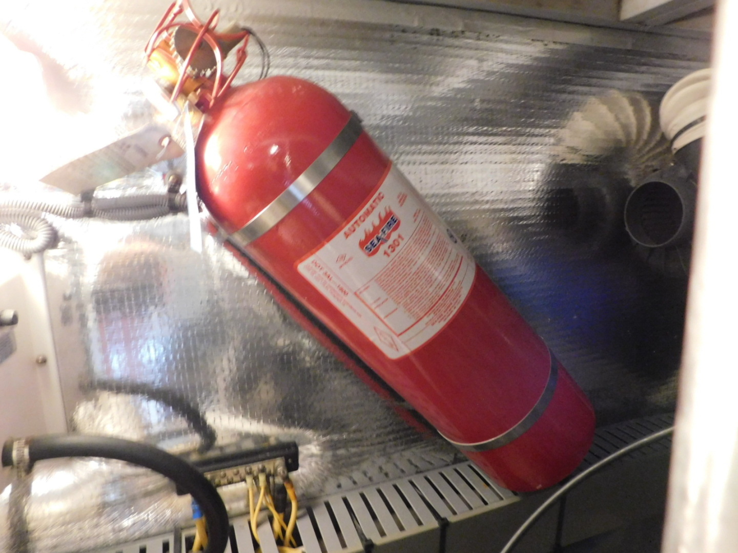 Picure of Serenity Blue