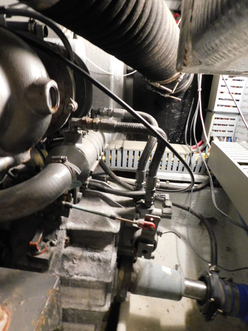 Picure of Serenity Blue