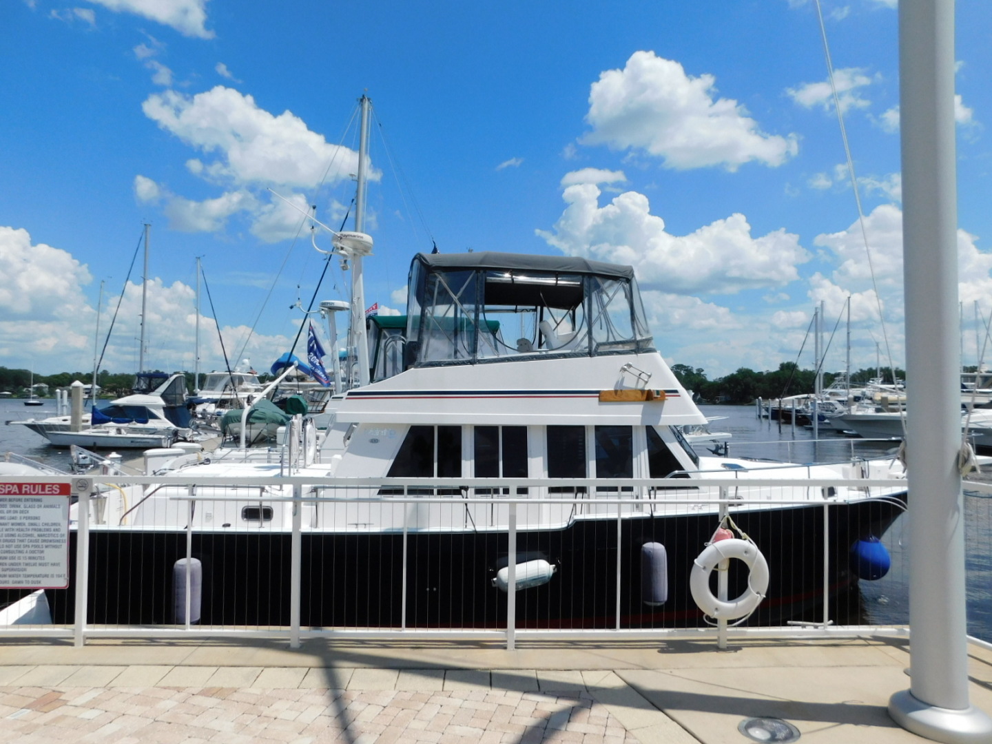 Picure of Serenity Blue