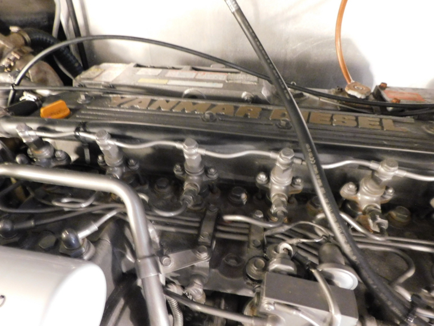 Picure of Serenity Blue