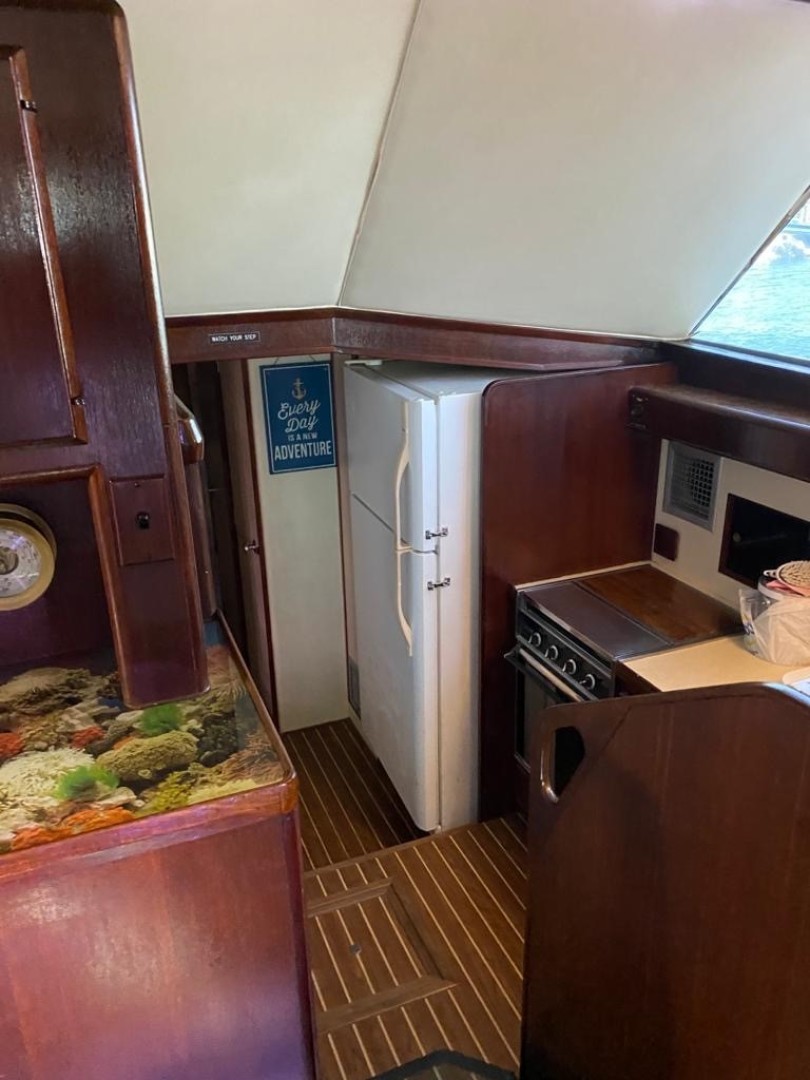 Bertram Convertible — MD on Board - Photo 42