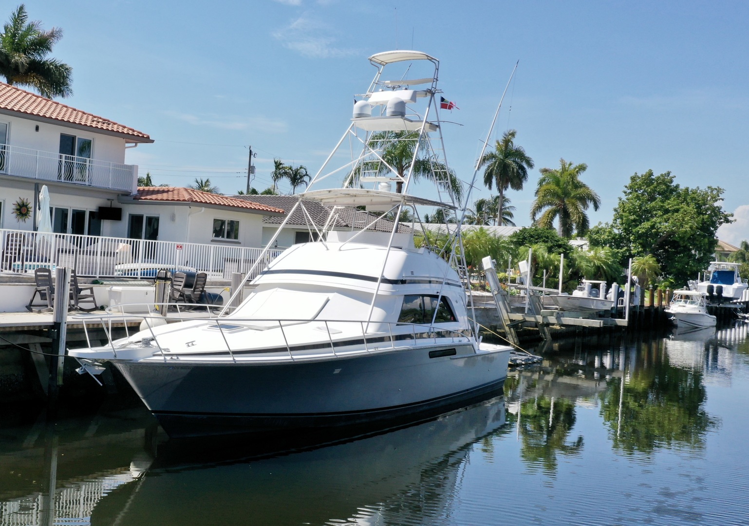 Fuggetaboutit 50ft Bertram Yacht For Sale