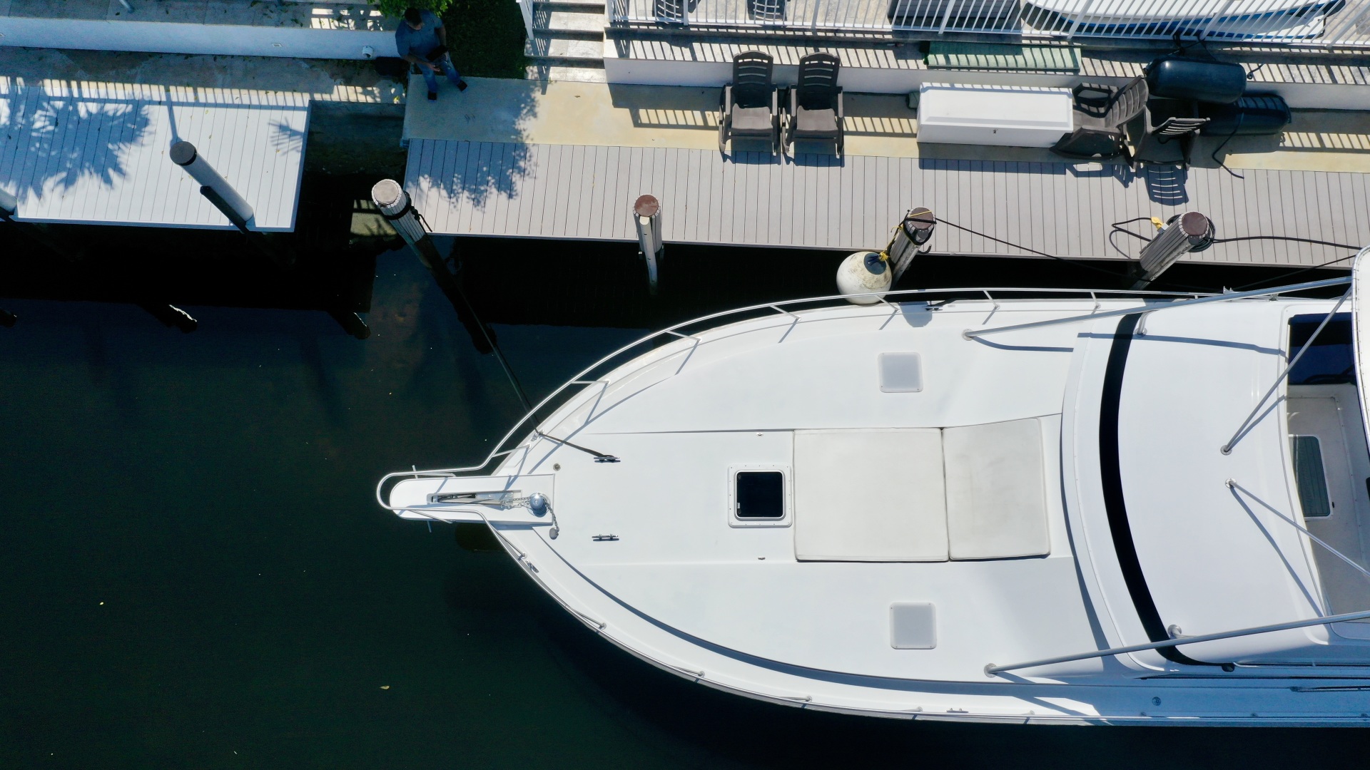 Fuggetaboutit 50ft Bertram Yacht For Sale