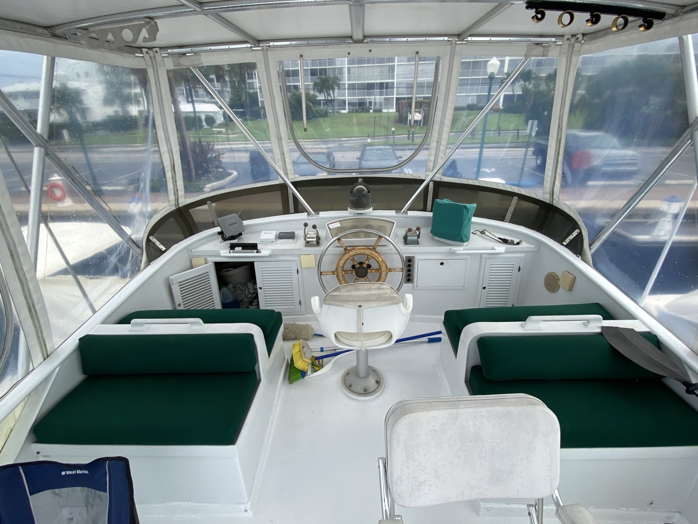 Picure of Green Eyed Lady