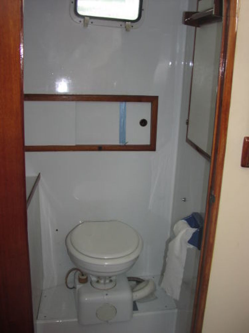 Picure of Green Eyed Lady