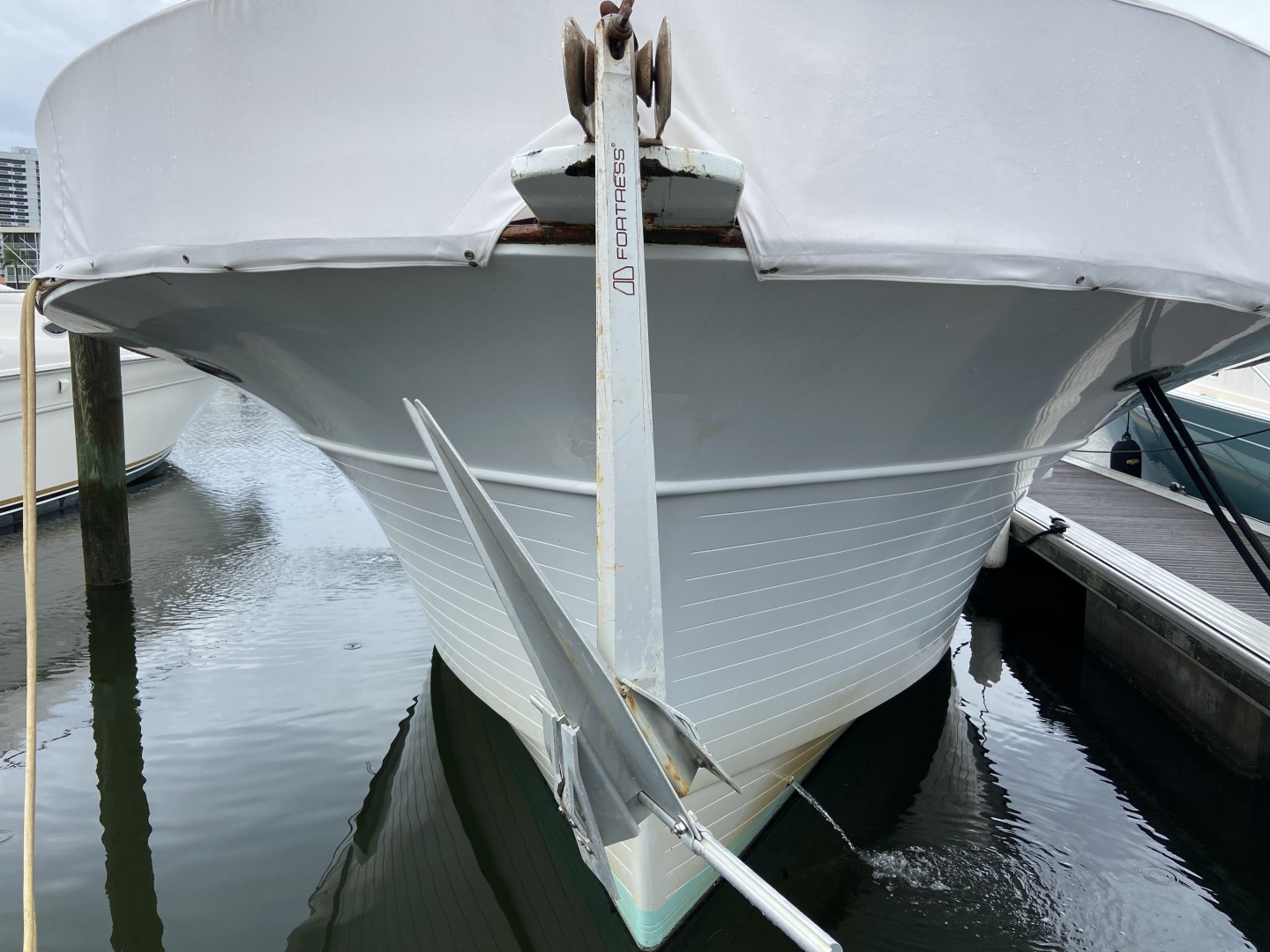 Picure of Green Eyed Lady