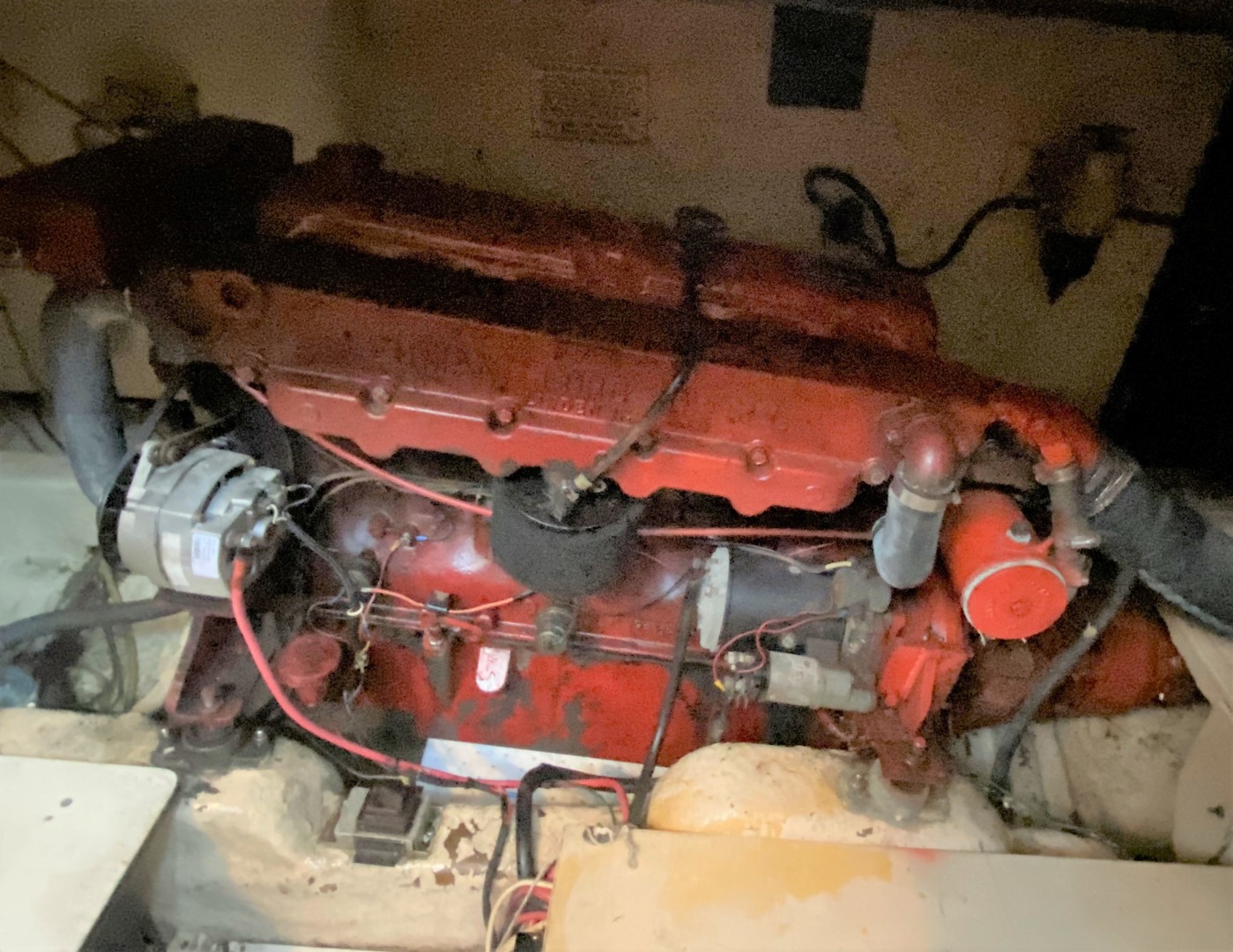 Picure of Green Eyed Lady