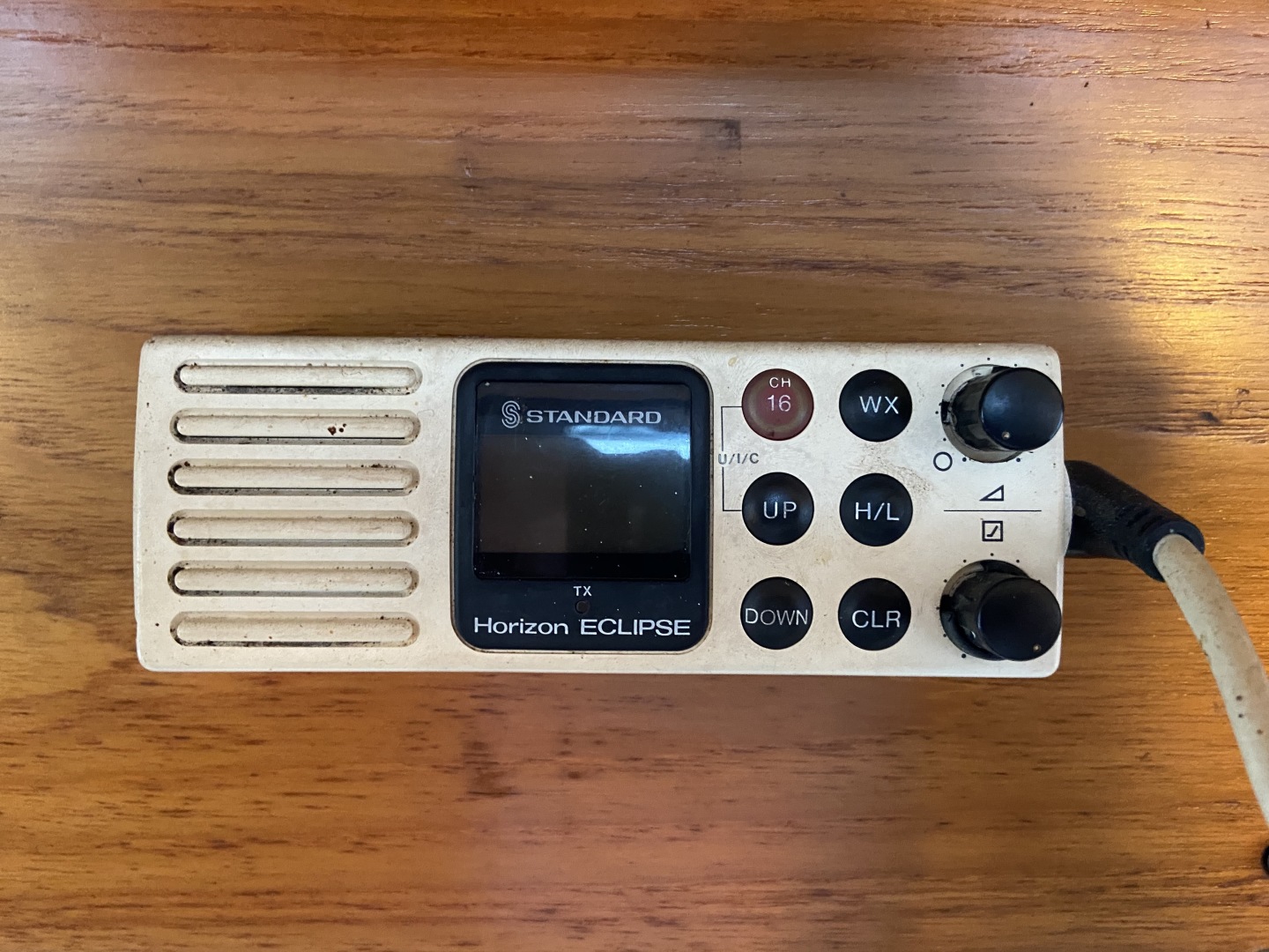 Picure of Green Eyed Lady