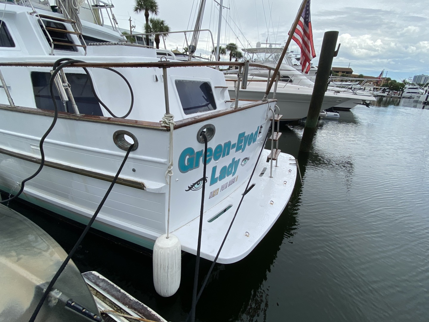 Picure of Green Eyed Lady