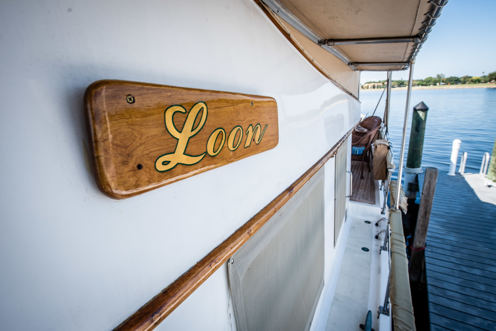 Picure of Loon