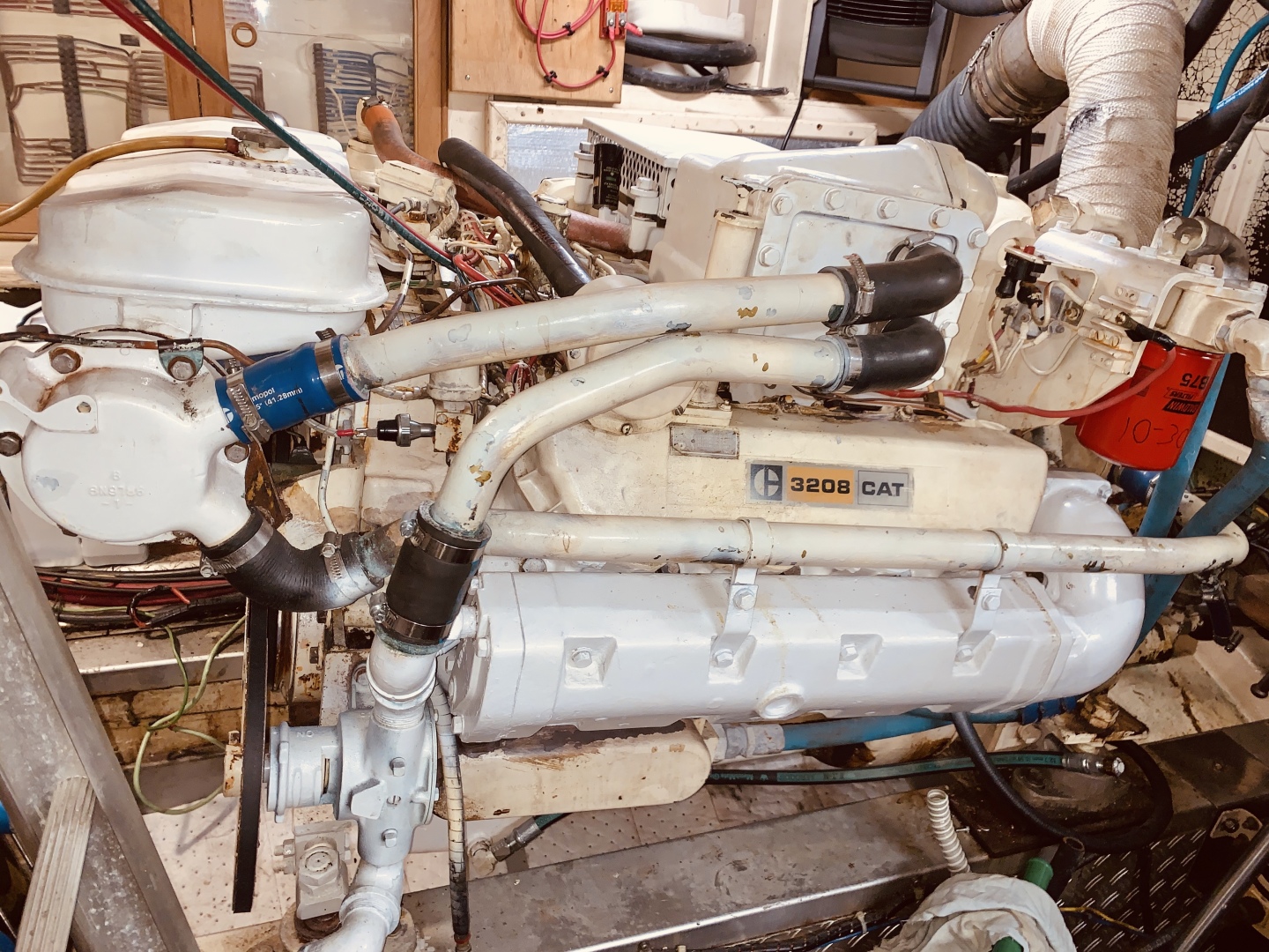 Picure of Little Red