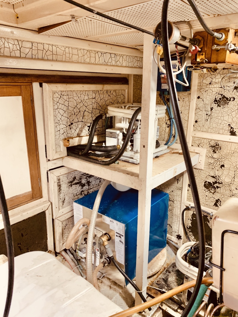 Picure of Little Red